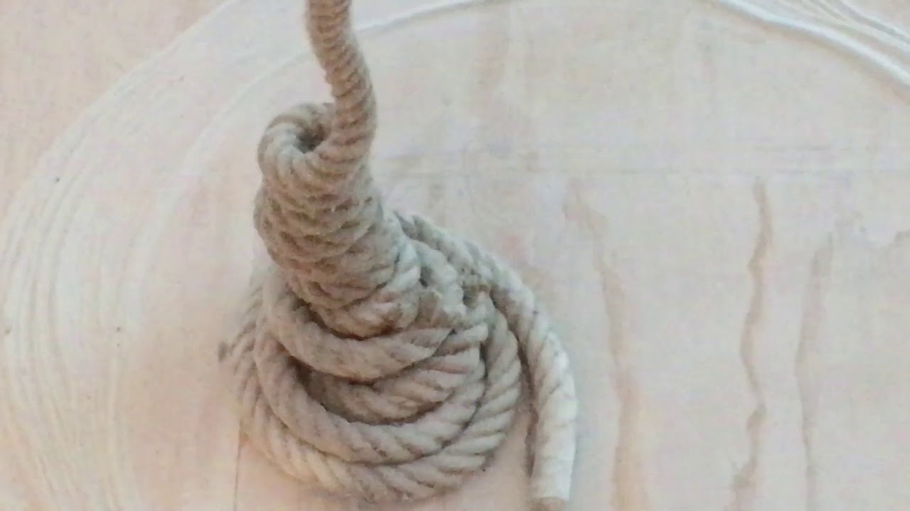 Carolee Schneemann Mortal Coils PS1 MoMa 2018