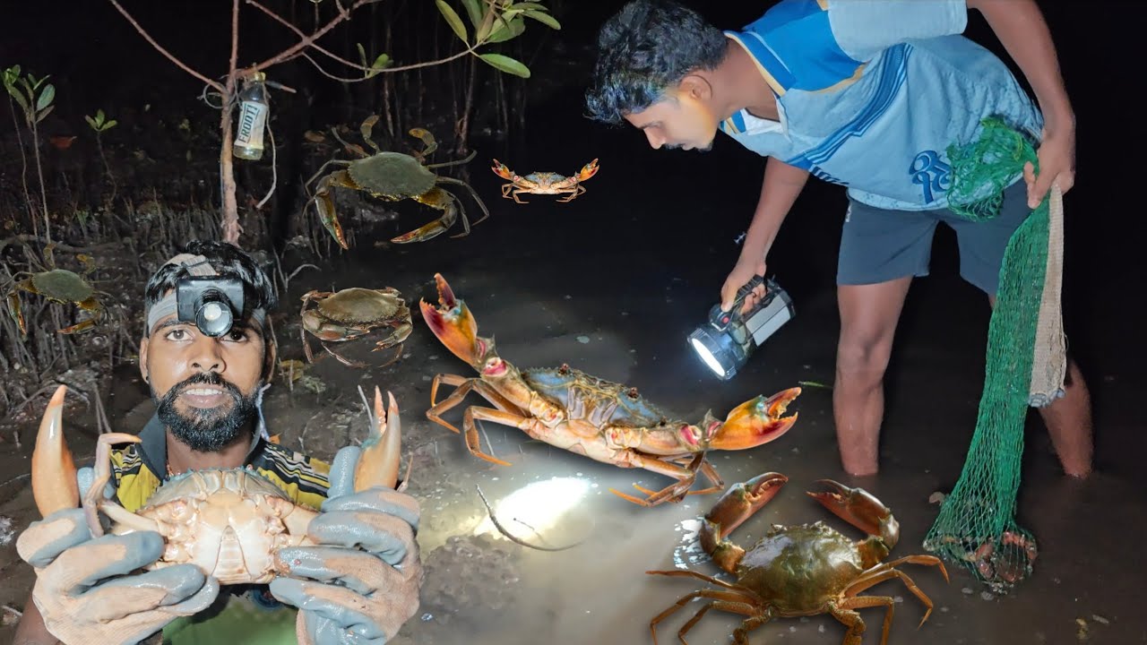 नवीन ठिकाणी गेलो खेकडे पकडायला  , पकडले भरपूर खेकडे | Traditional crab catching @TejaGurav