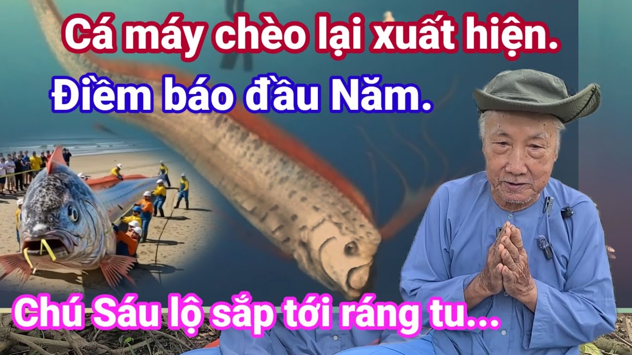 🙏Cá máy chèo lại xuất hiện.điềm báo đầu Năm. Chú Sáu lộ sắp tới ráng tu.🙏 Cho Đời Vlog. 