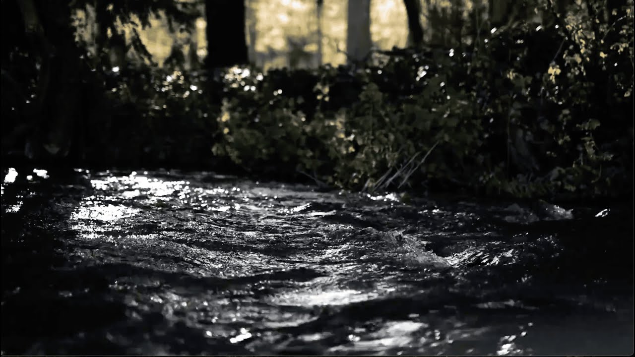 Calming River Flowing in Ancient Forest | Soft Water Sounds for Deep Sleep & Relaxation