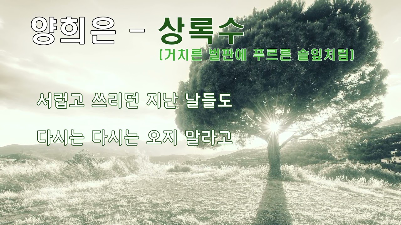 양희은  - 상록수 (거치른 들판에 푸르른 솔잎처럼)  가사.