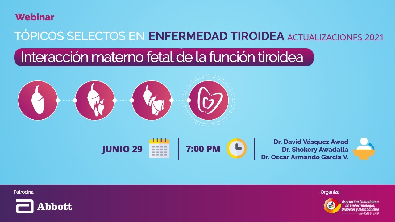 WEBINAR - Interacción materno fetal de la función tiroidea