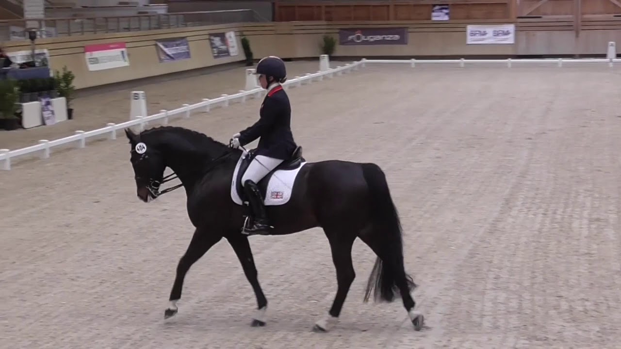 REPRISE DE DRESSAGE | Reprise Grade IV : Commentées par Isabelle Judet – Juge 5* Internationale