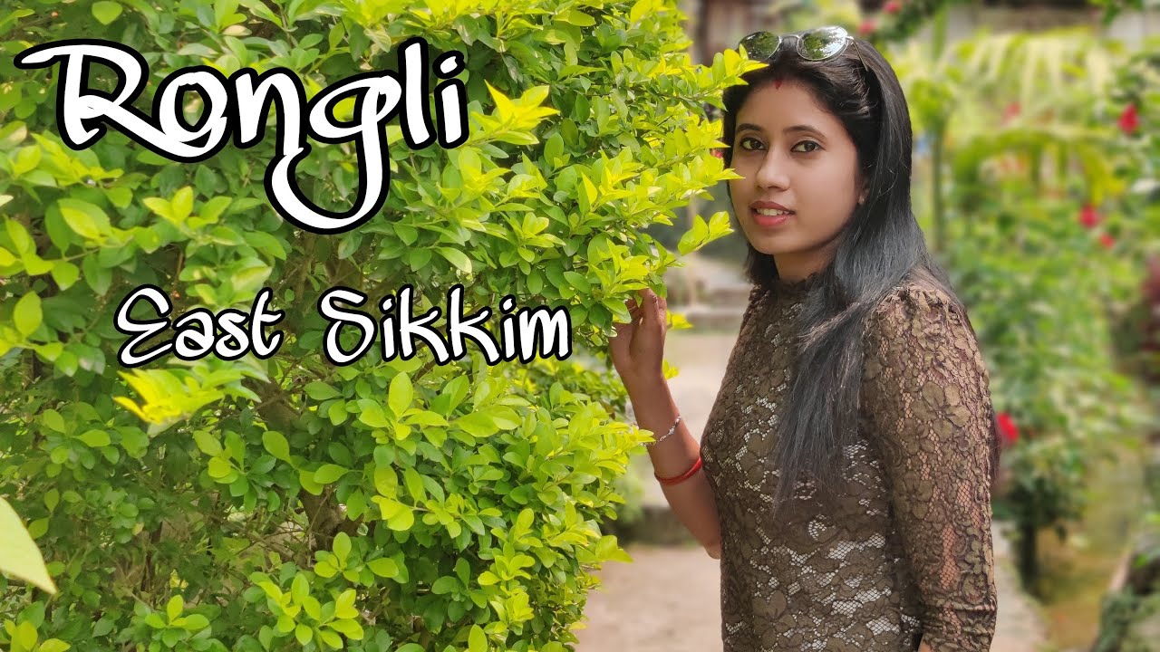 Rongli || Aurora farm stay ||  A hidden paradise in the lap of Himalayas
