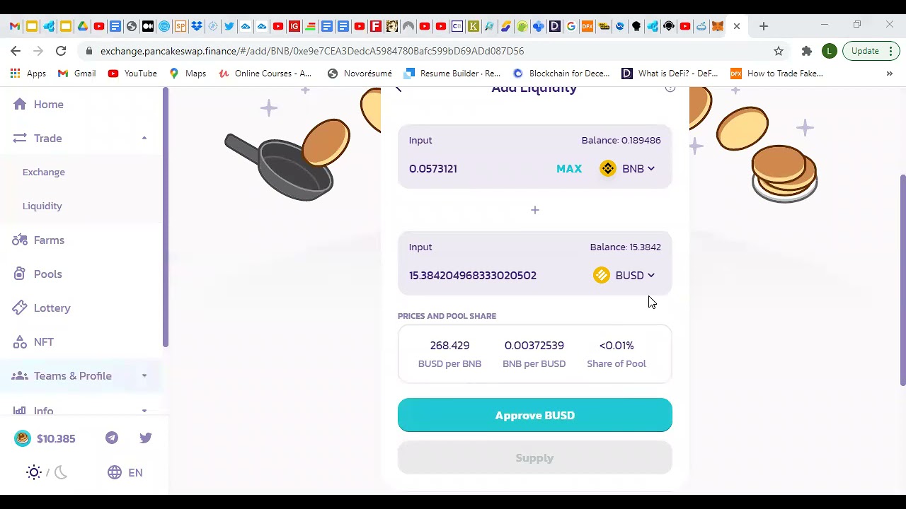 HOW TO USE BSC DAPPS ON YOUR PC