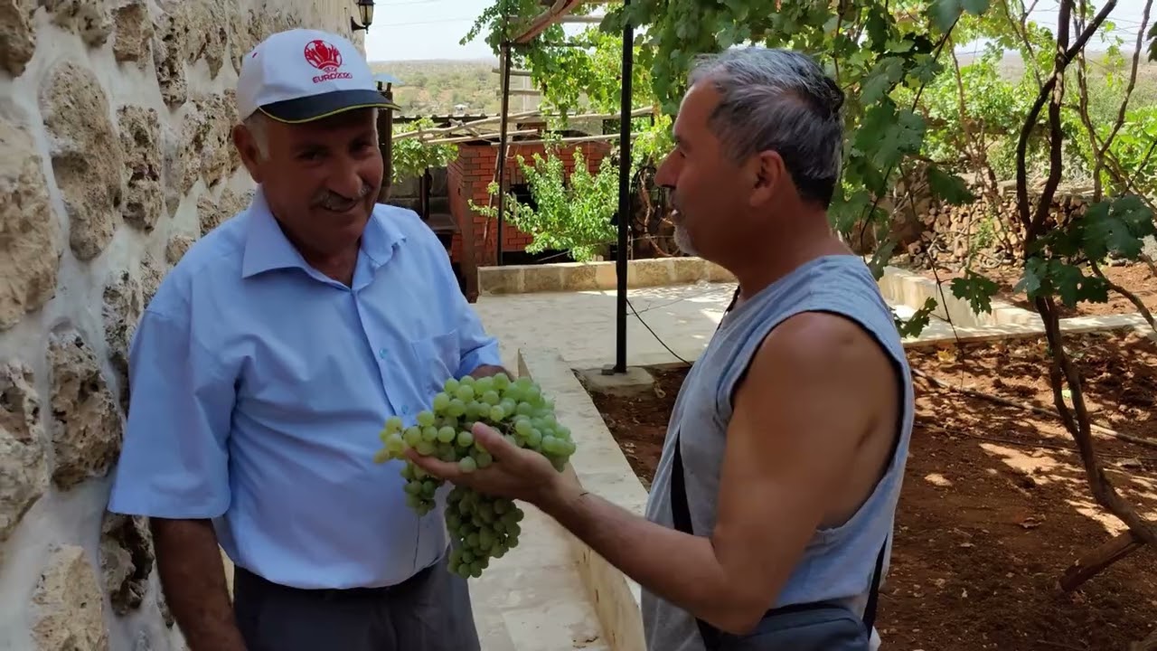 Turabdin Mix  2  2022