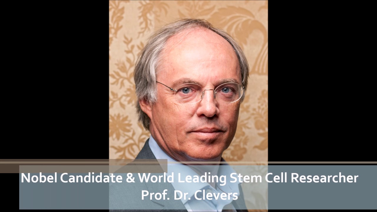 Final Call for Abstracts