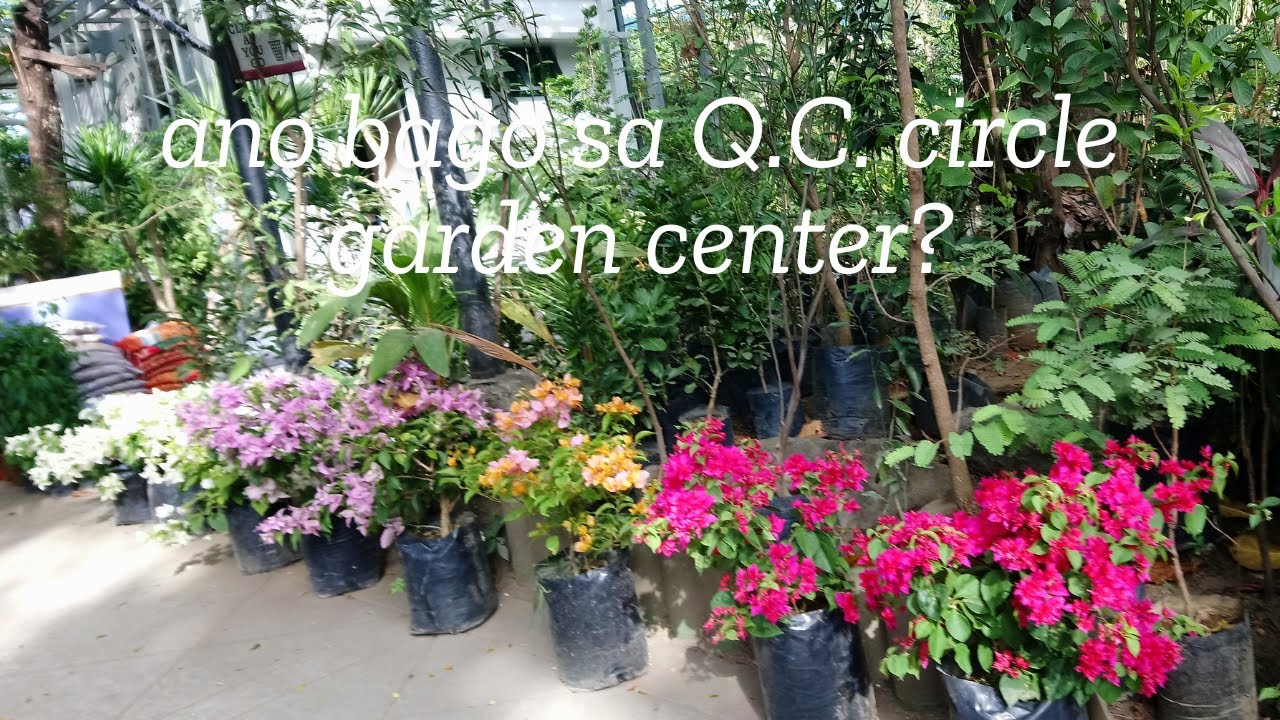 MAY BAGO SA QUEZON CITY CIRCLE GARDEN CENTER  2025 @passion at60