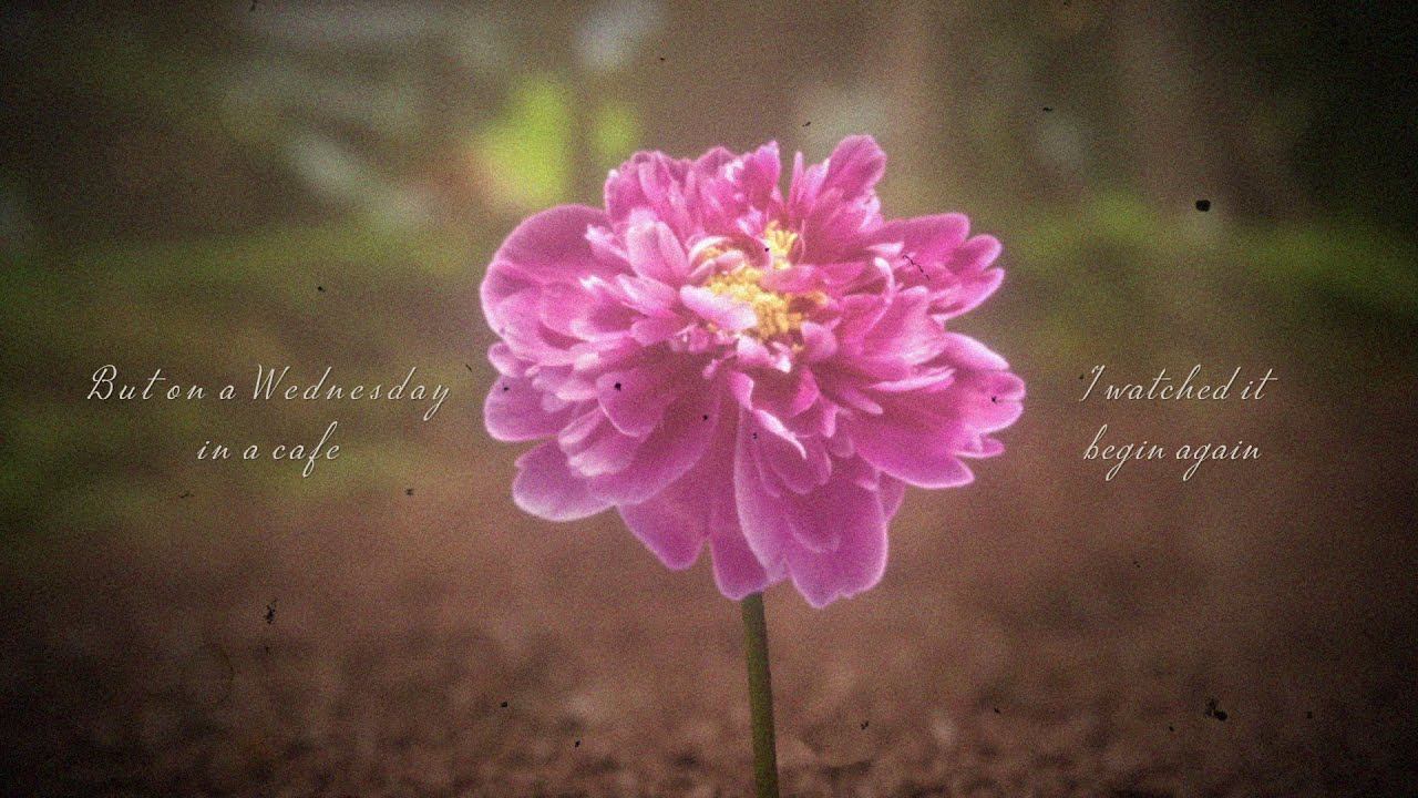 Taylor Swift - Begin Again (Taylor's Version) (Lyric Video)