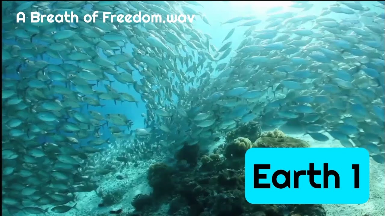 Earth - A short video about Earth with music 