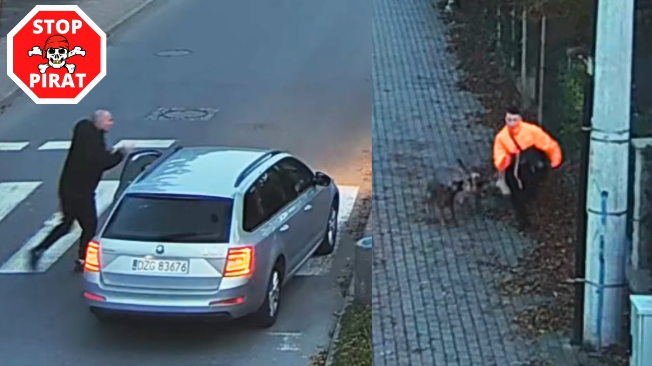 Atak agresywnych psów na chłopca udaremniony przez kierującego Skodą. STOP PIRAT