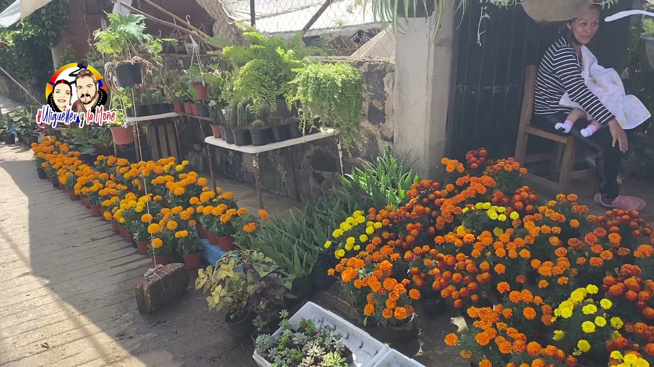 Recorrido e historia de Tetela del Monte, Cuernavaca Morelos. #Uliguellerylamoñe