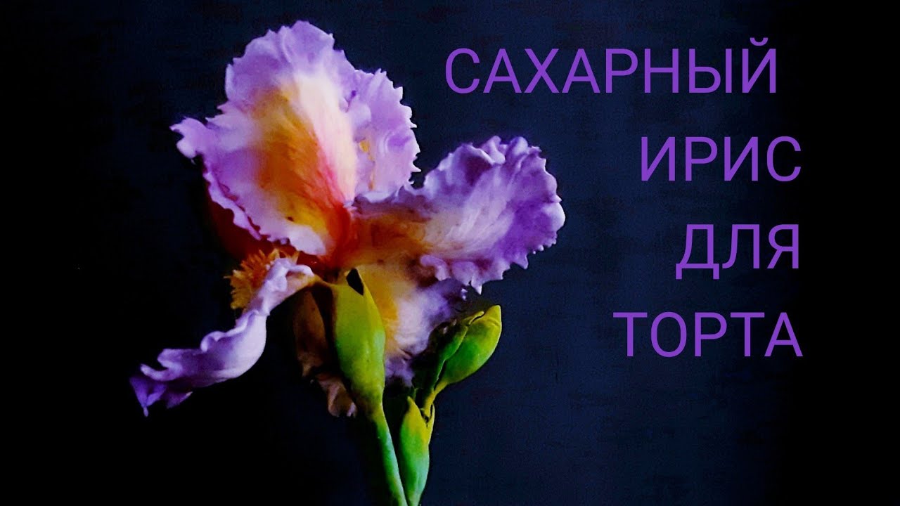 Ирис из сахарной мастики