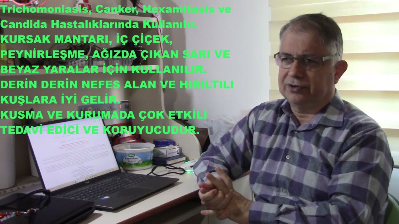 RONIDAZOLE %40 FUNGAL NASIL KULLANILIR