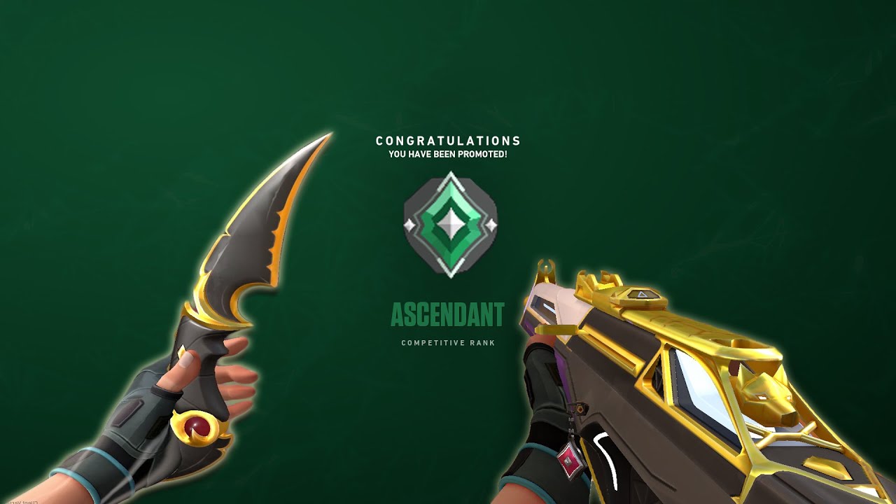 No Recoil Crosshair : 0;P;c;8;u;000000FF;o;1;d;1;b;1;f;0;0b;0;1b;0