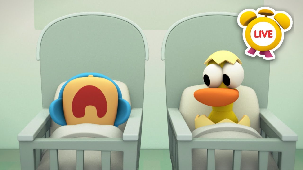 Pocoyo Baby | CARTOONS and FUNNY VIDEOS for KIDS in ENGLISH | Pocoyo LIVE