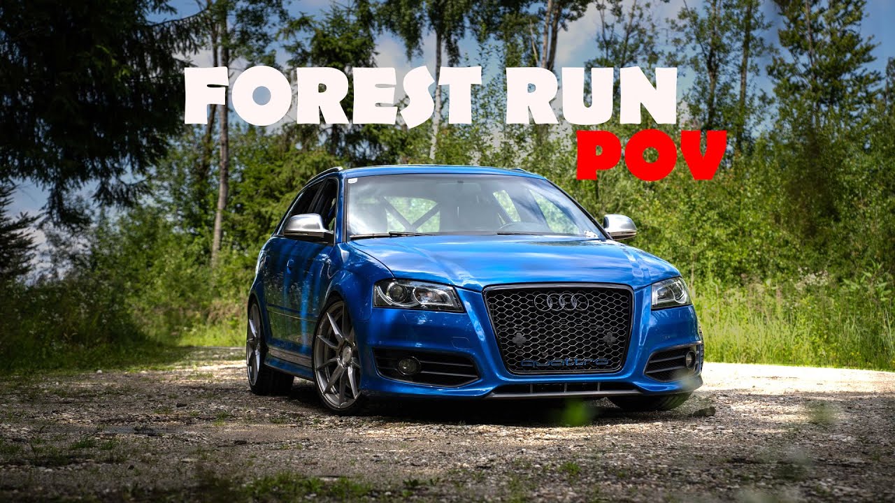 POV Forest Drive in Modified Audi S3 | Insane Pulls & Sound