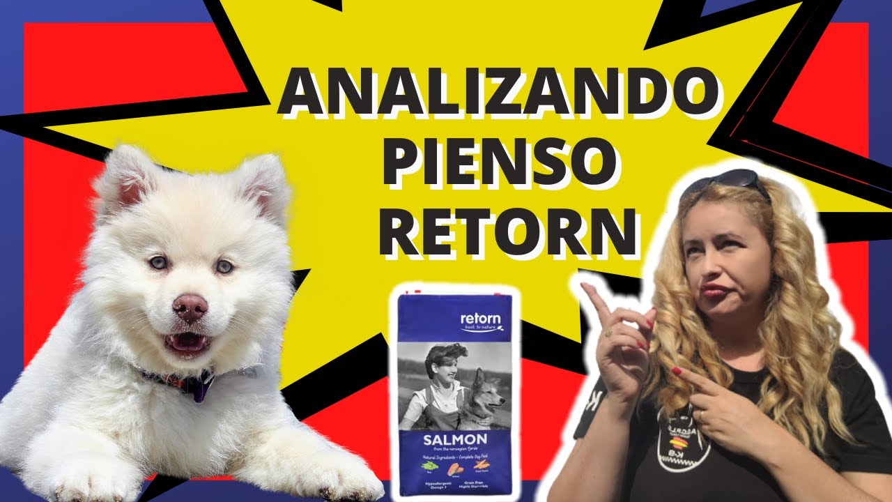 PIENSO RETORN SALMON,POLLO NATURAL para PERROS analizando los mejores PROS y CONTRAS hipoalerg&eacute;nico