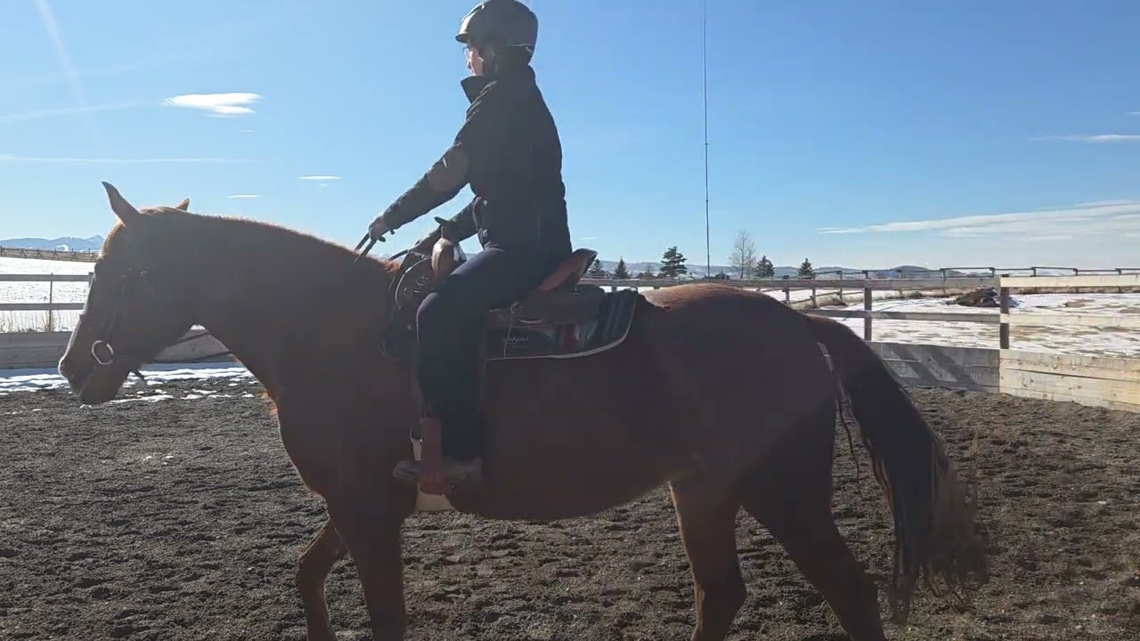 Rose training session Feb 2026