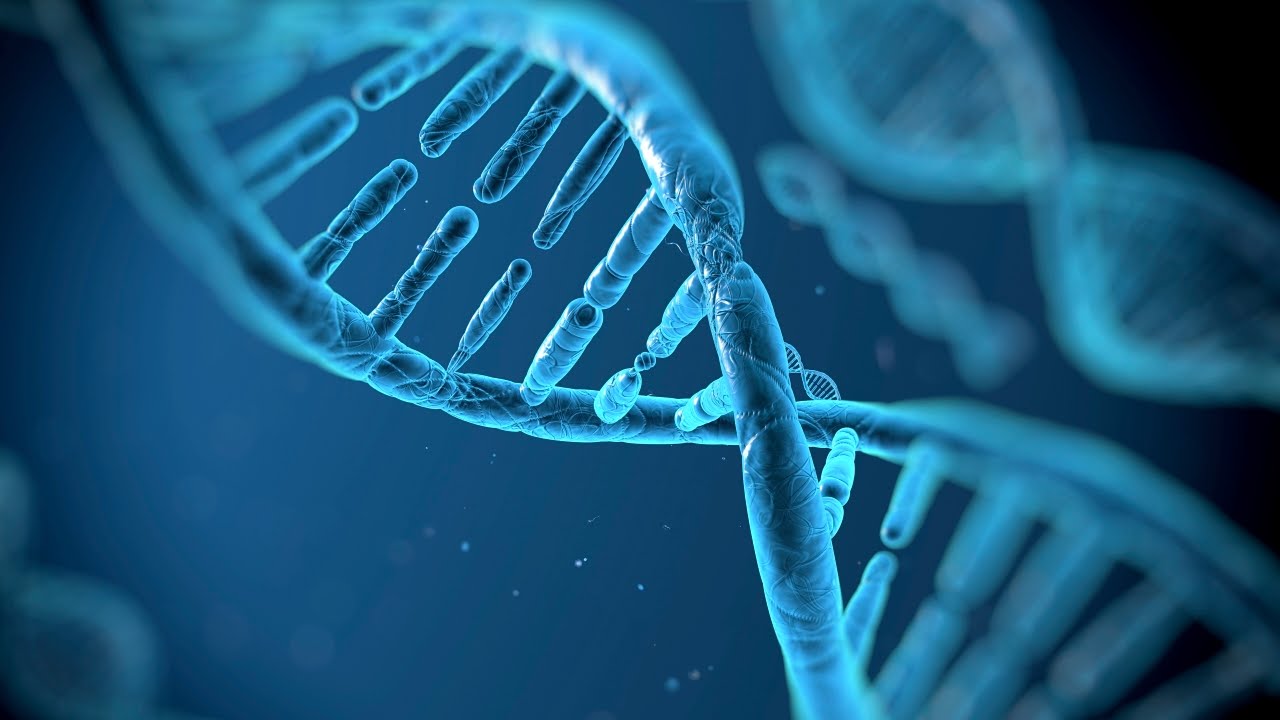 Mutations: great and small