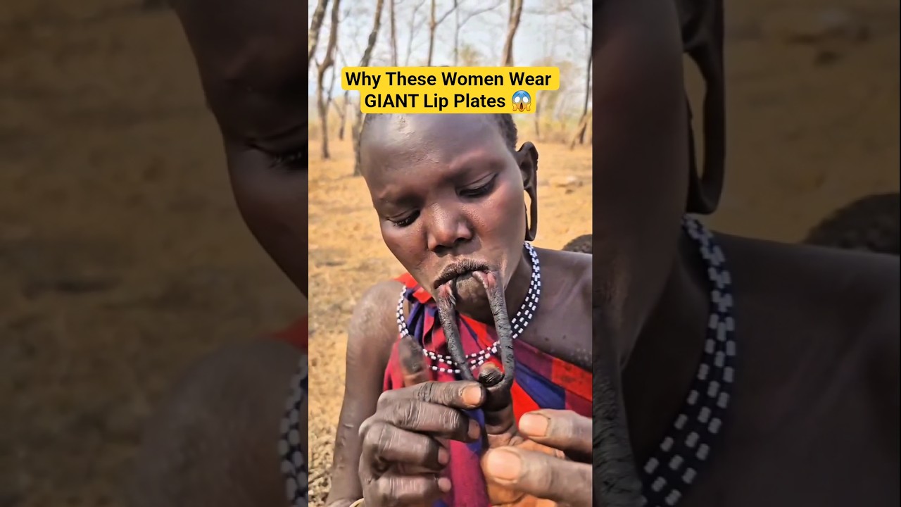 🔥 Mind-Blowing African Lip Plate Tradition | How Big Plates Show Beauty in Surma Tribe #shorts