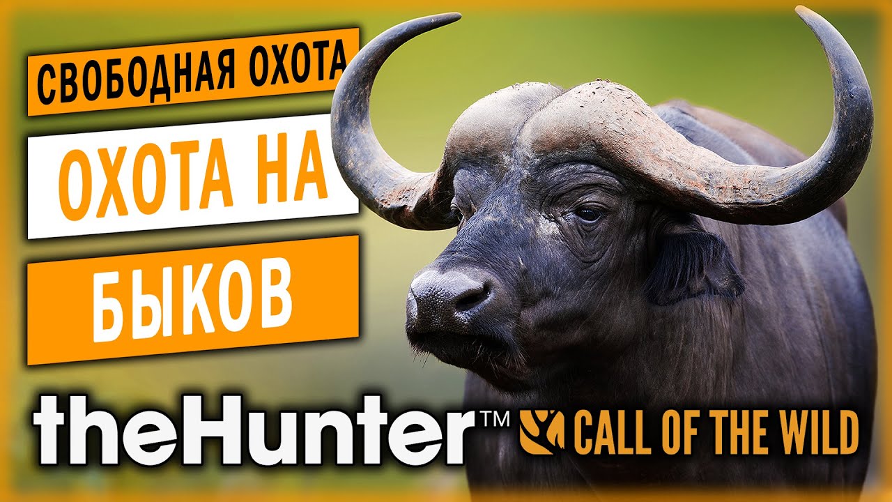 theHunter Call of the Wild #18 🐃 - Охота на Быков - Свободная Охота в Год Быка (2021)