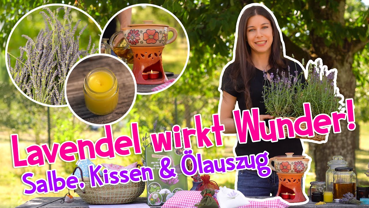 Lavendel wirkt Wunder! 💜 Salbe einfach selbst herstellen – natürlich, wirksam & mit Rezept 🐝 #garten