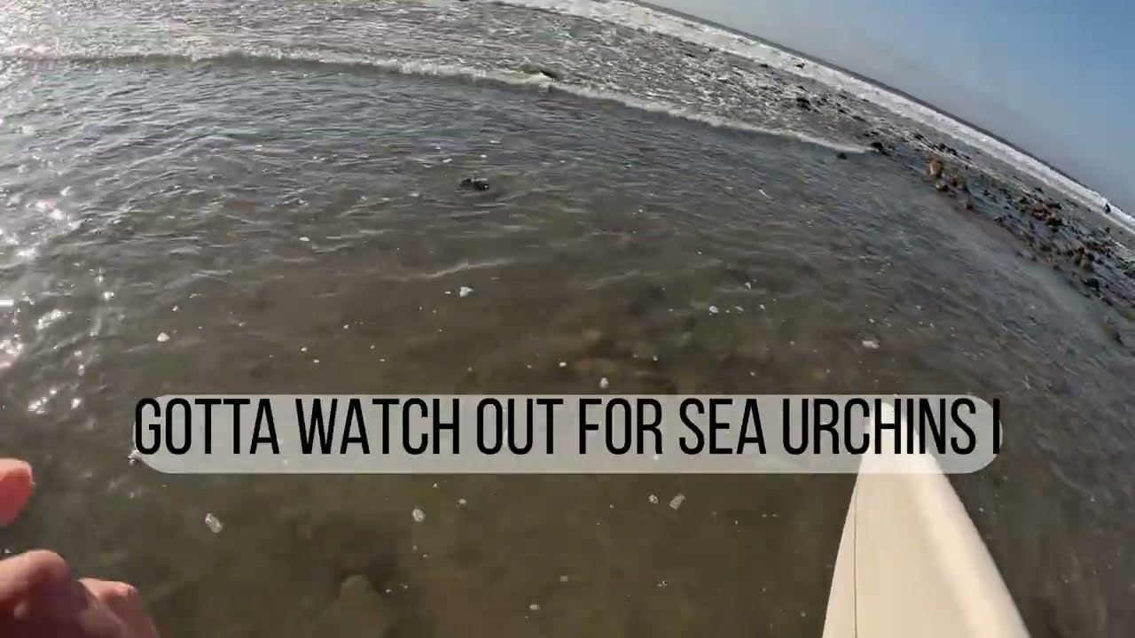 Surfing in Topaga Beach POV- February 2026 Winter