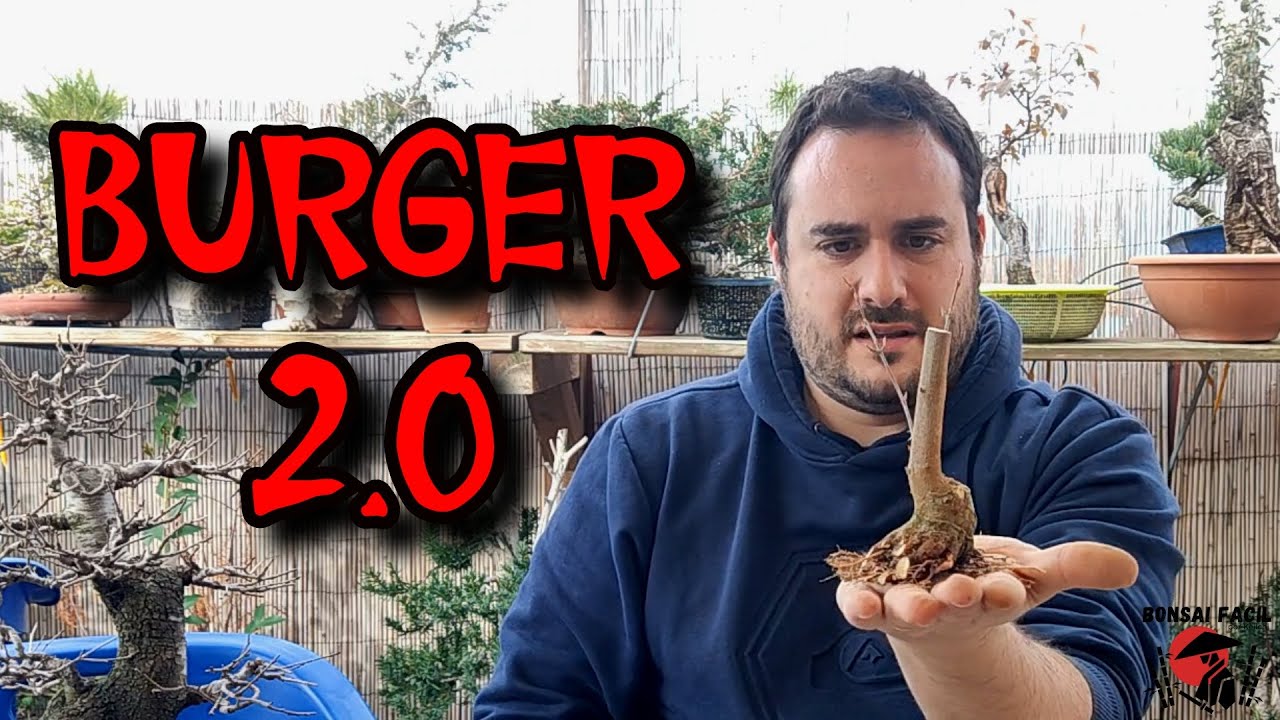 Arce Burgeriano Comehamburgesas 2.0