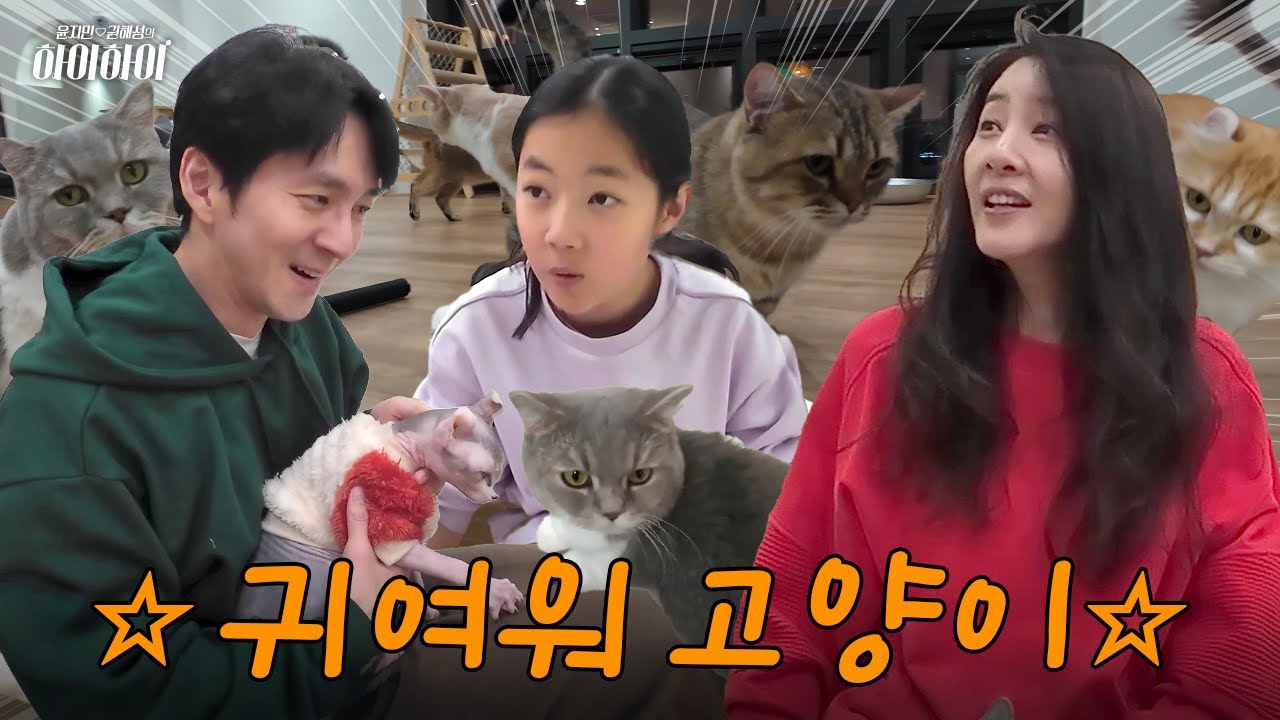 [VLOG] 여러분 됐어요, 하이가 냥집사 됐어요! (츄르 마스터)