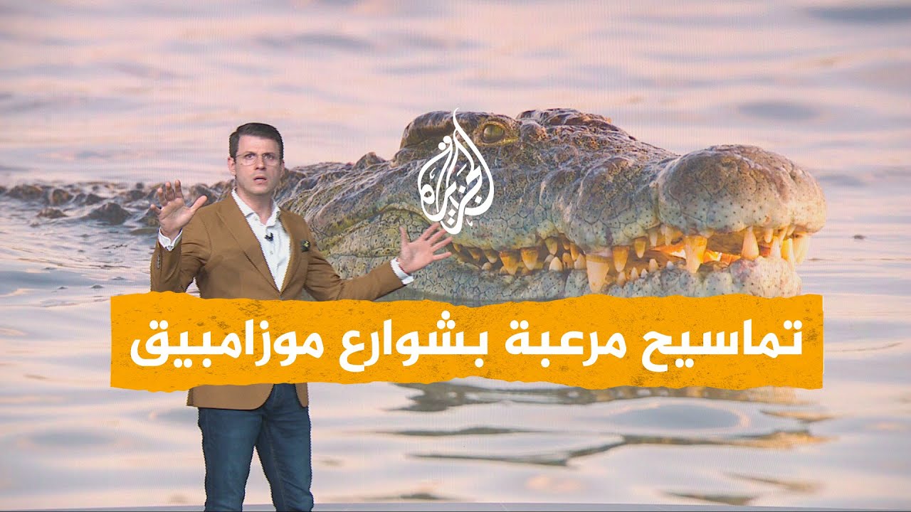 شبكات | تماسيح مرعبة في شوارع موزامبيق  وتقتل 3 أشخاص