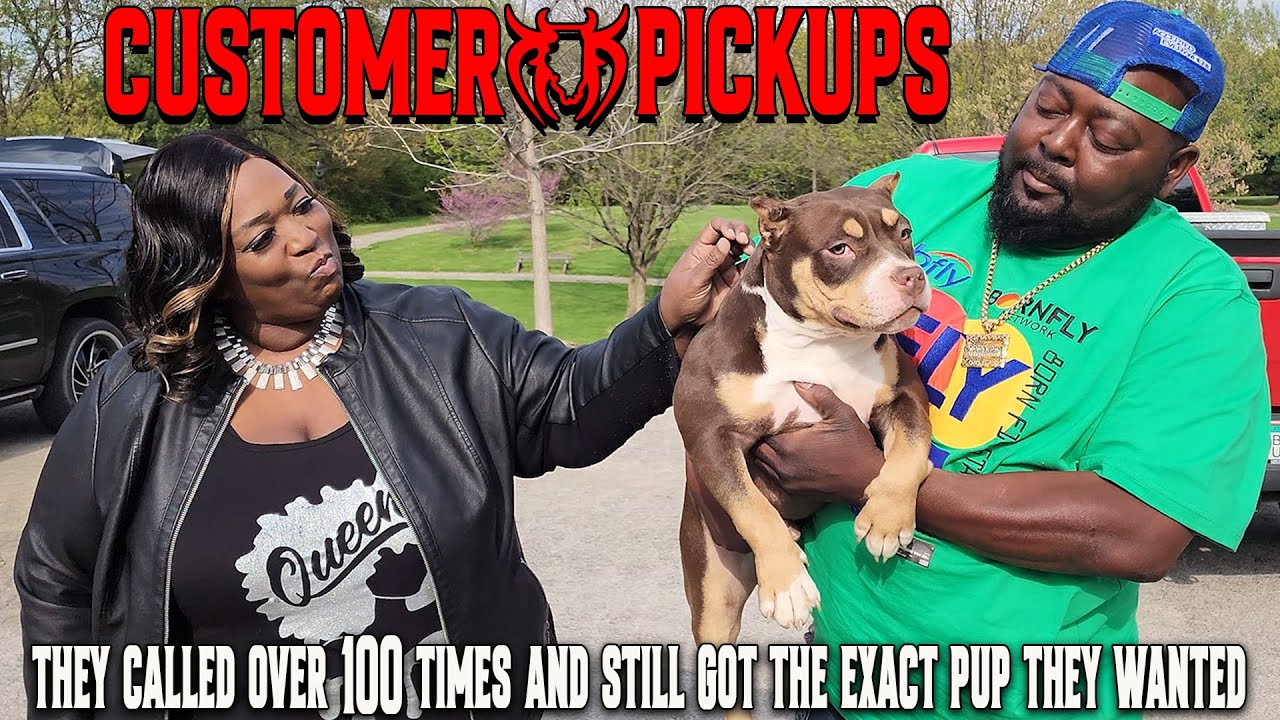 THEY WENT CRAZY!! PICKING UP THEIR AMERICAN BULLY PUPPY FROM THE WORLD FAMOUS KILLINOIS KENNELS!!