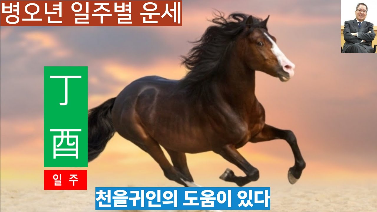 병오년운세 ㅣ정유일주, 천을귀인이 도우니 무엇이든 이룬다