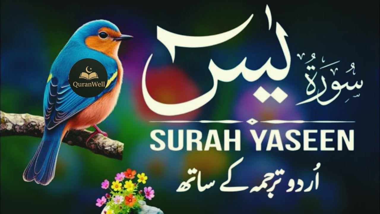 Surah Yaseen Full Tilawat | Heart Soothing Quran Recitation | Surah Yasin with Urdu Translation