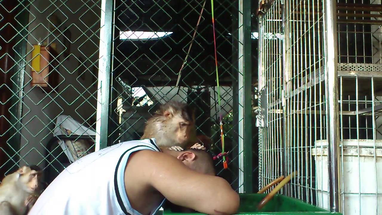 JK shaki said BATH BATH BATH