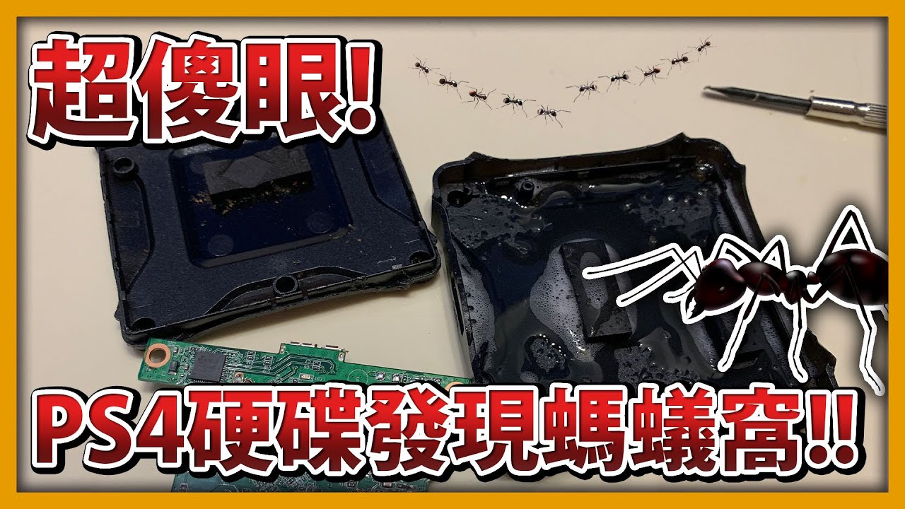 【RHung】超傻眼!PS4硬碟發現螞蟻窩 硬碟還生還!?★