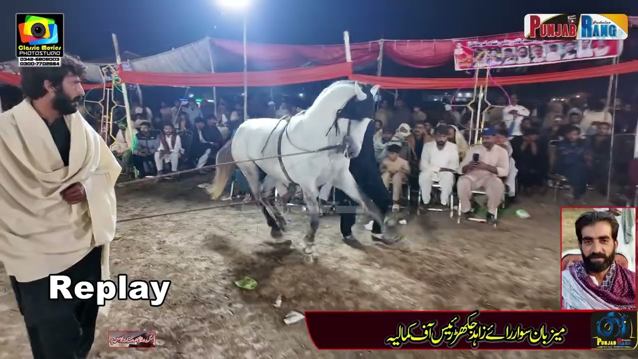 Nilam l Nokar Ghazi Da l 8 November 2025 Chak No 739 Moza Jakhar Kamalia l Mehr Akthar Abbas Jutt