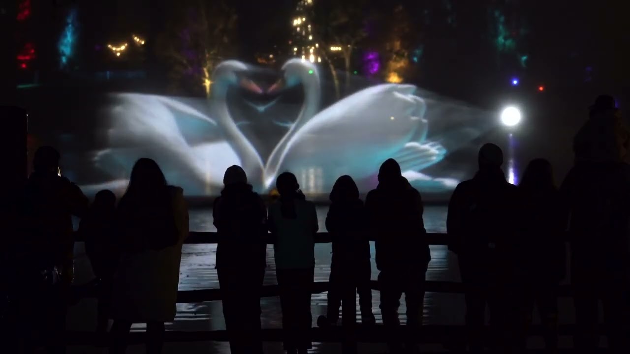 Windsor Great Park Illuminated: A Dazzling Nighttime Experience 2022