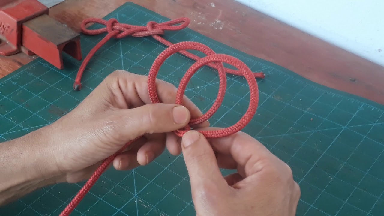 Nó catau.