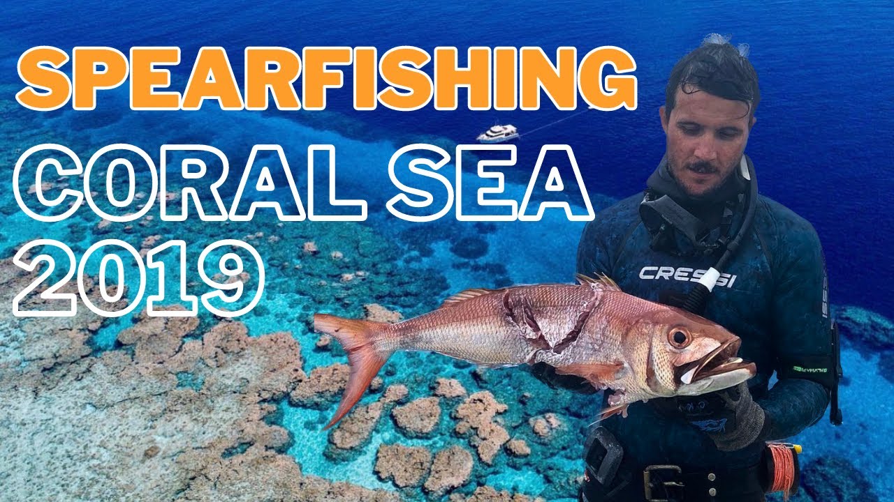 MBP Spearfishing coral sea November 2019