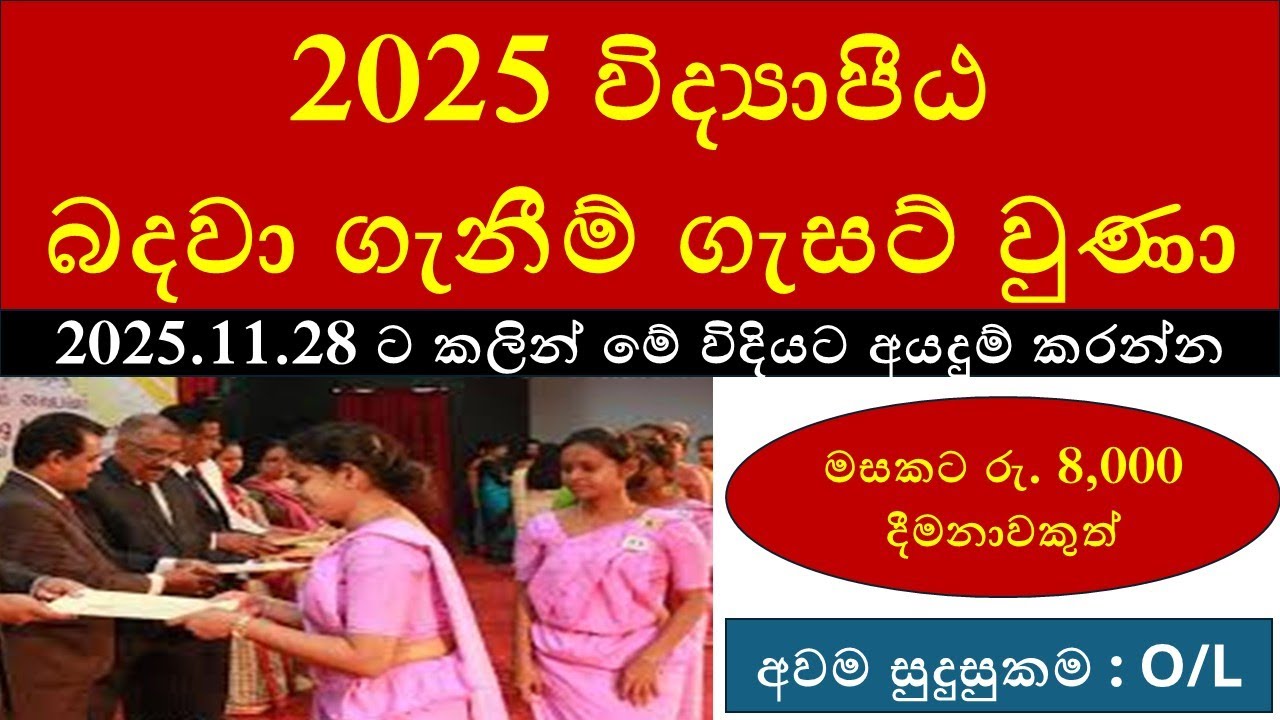 2025 විද්‍යාපීඨ බදවා ගැනීම් ගැසට් වුණා: Vidyapeeta Gazette 2025 | Complete Online Application Guide