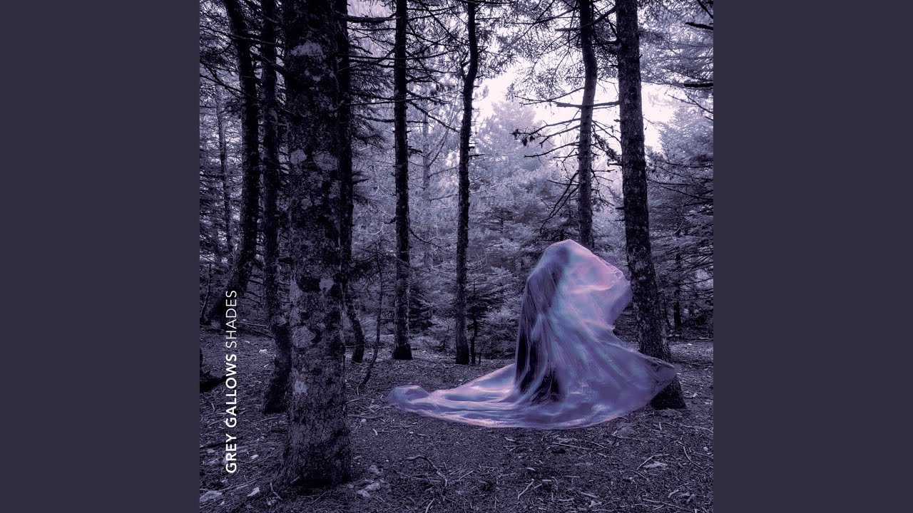 In a shadow dream