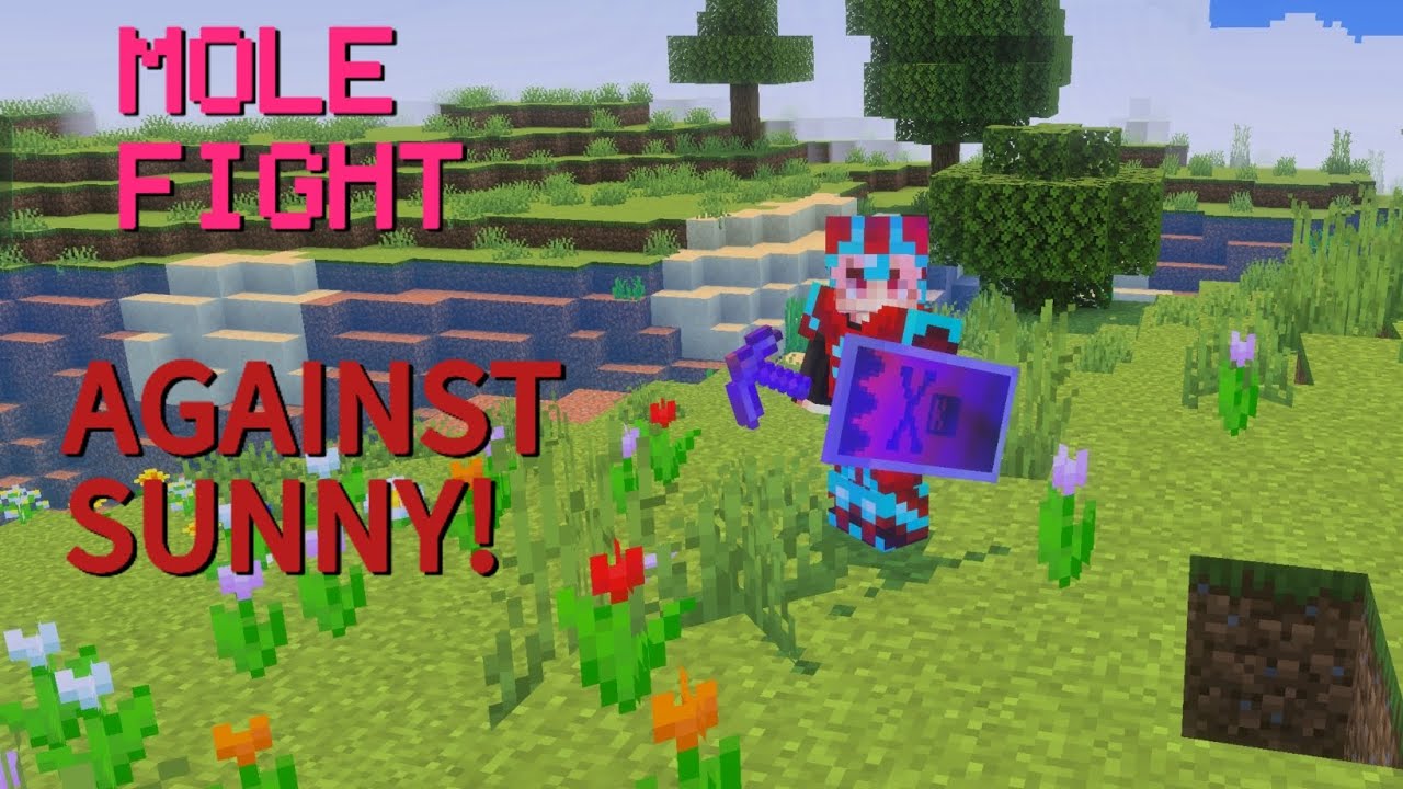 Practicing MOLE FIGHTS against @SUNNY4401?!!