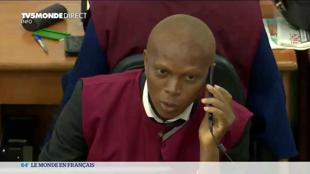 Focus sur la ZLEC, la zone de libre-&eacute;change en Afrique