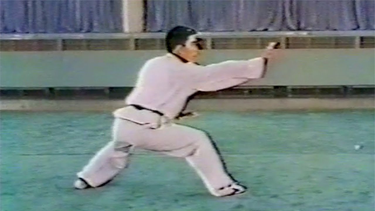 【武術】1976 任継華  (通臂拳) / 【Wushu】1976  Ren Jihua (Tongbiquan)