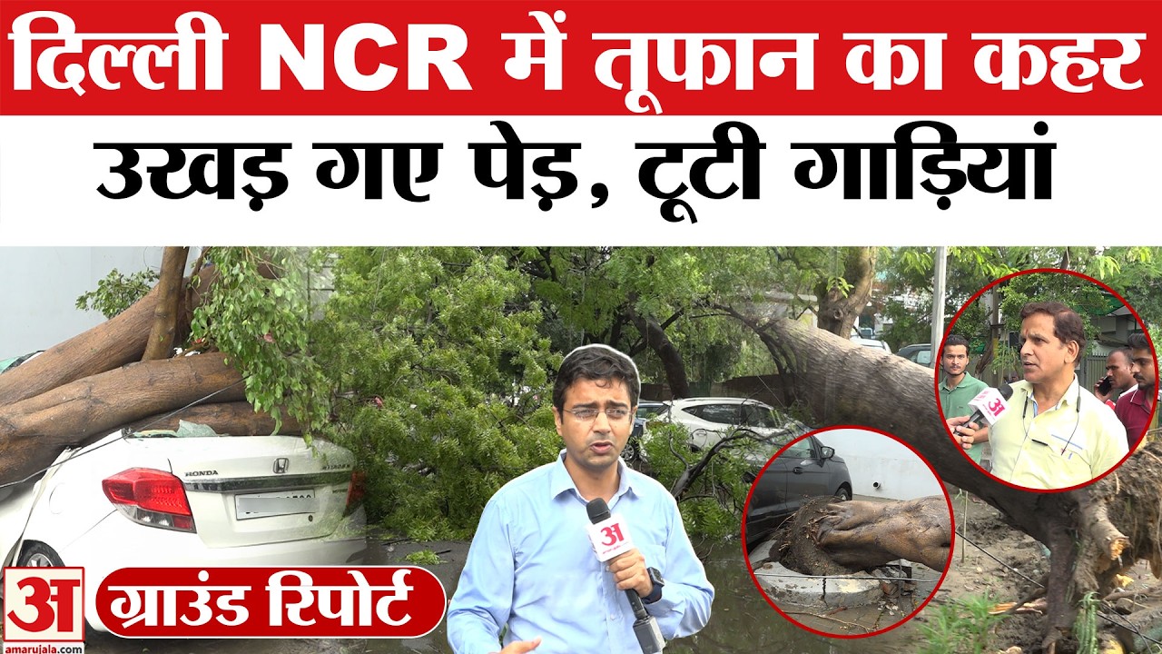 Delhi-NCR Rain Thunderstorm: दिल्ली-NCR में उखड़े पेड़, टूटी गाड़ियां, Ground Report | Weather