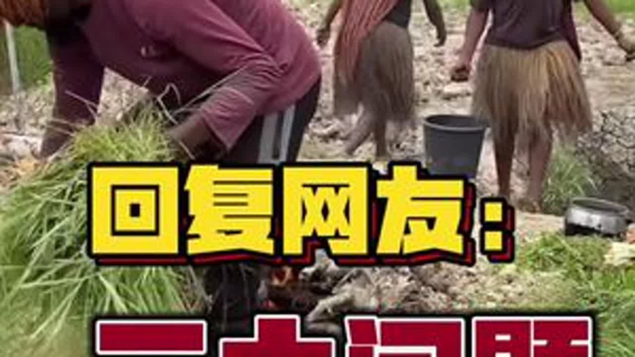 巴布亚盛产黄金 #李忆探险家 #防臭袜