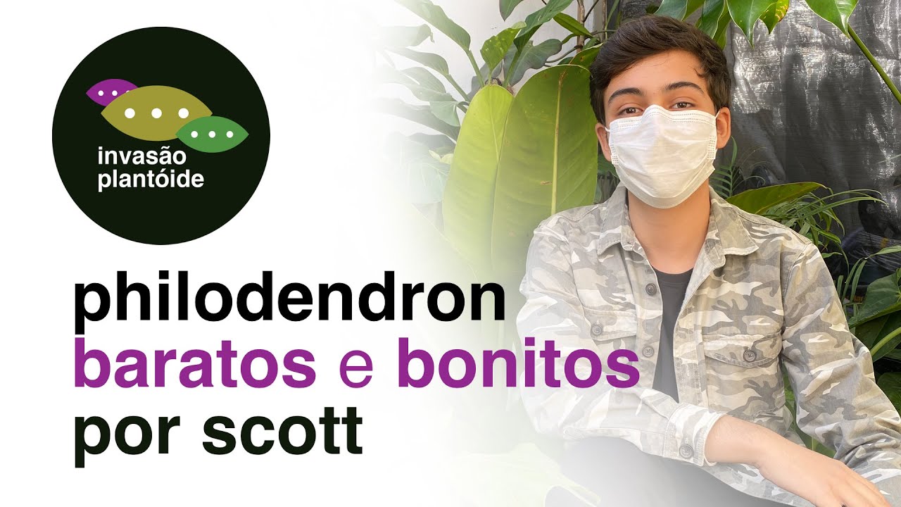 Rolê das Plantas com o Scott | Manutenção de Philodendron Baratos | Invasão Plantóide | Flay