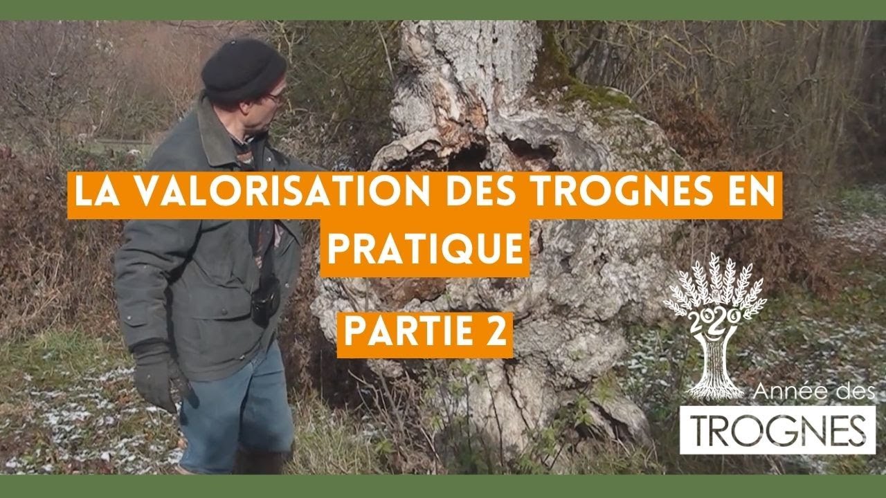 Partie 2 - Produire en autonomie de la litière à partir de trognes - JNT 2021