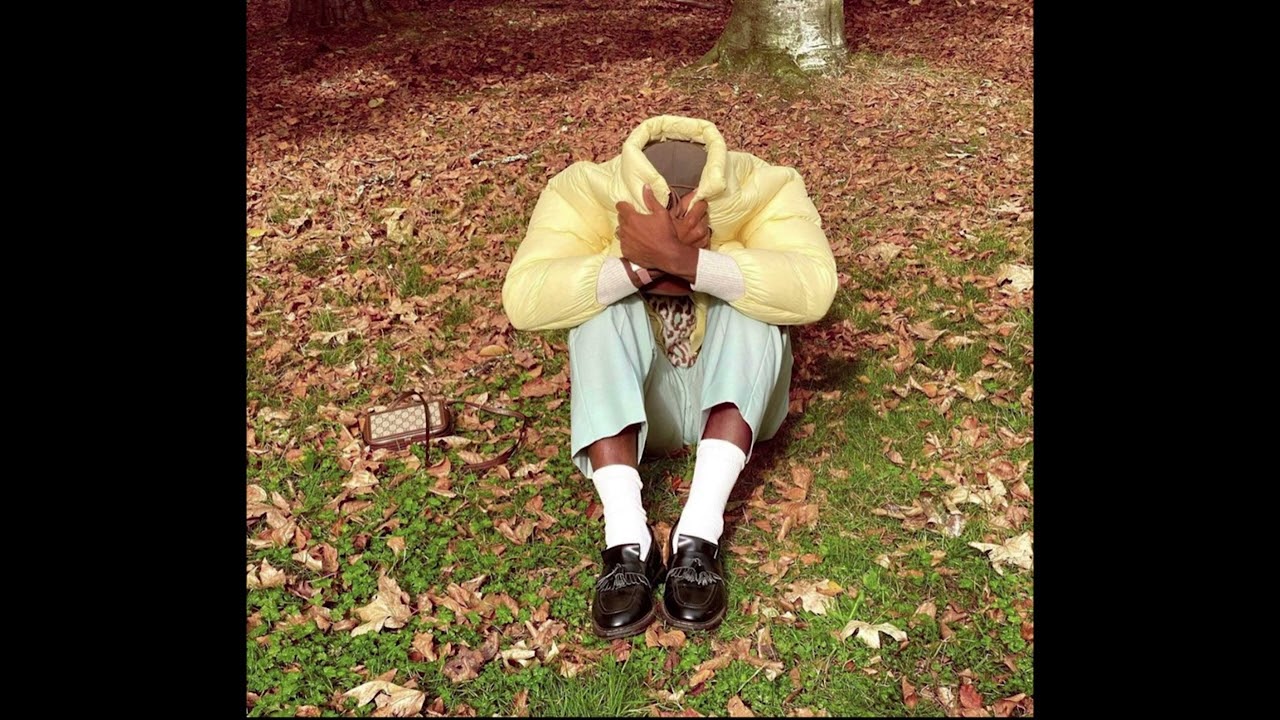 (FREE) Tyler The Creator Type Beat - Too Shy
